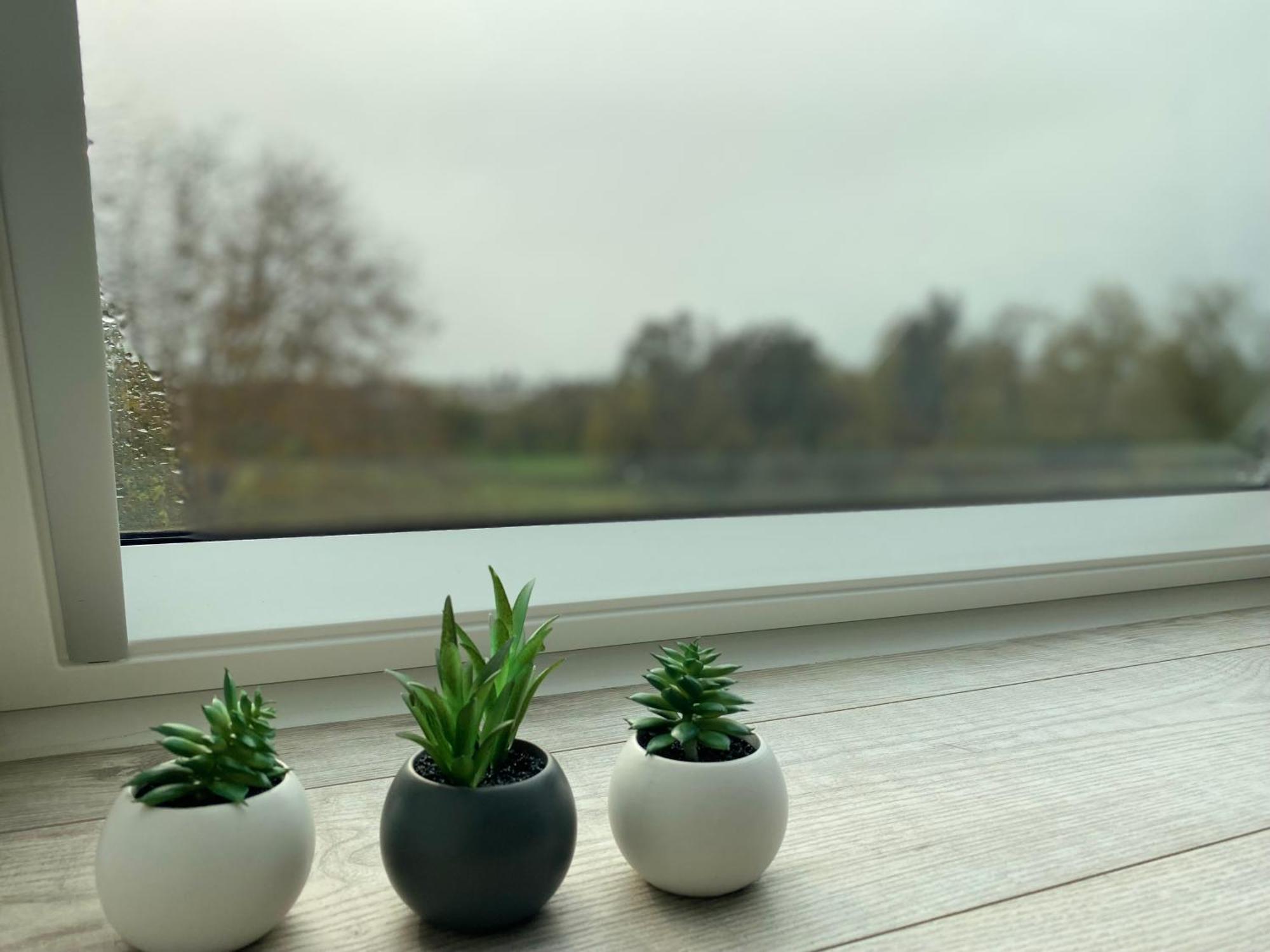 Les Rives Des Habsbourg Aparthotel Ensisheim Exteriör bild